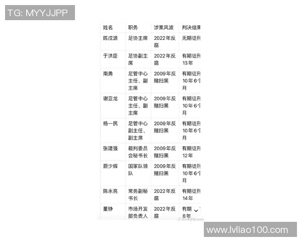 中国足球球星黑榜揭秘：那些在球场外争议不断的球员排名分析
